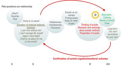 Function and Psychotherapy of Chronic Suicidality in Borderline Personality Disorder: Using the Reinforcement Model of Suicidality